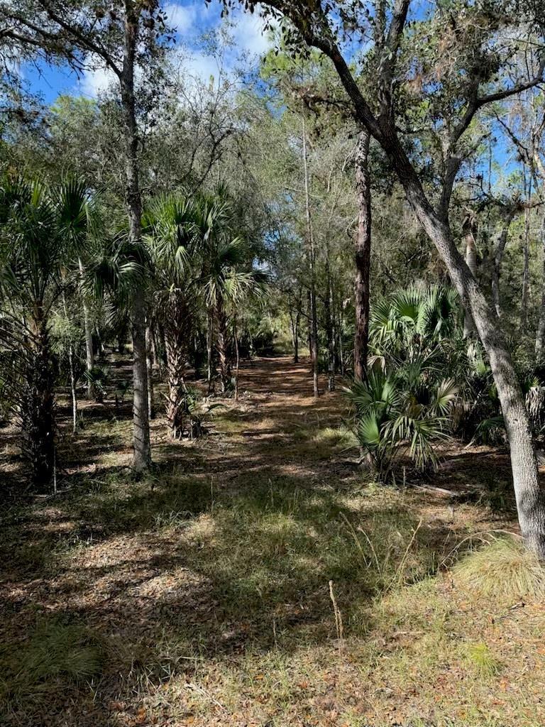  / 0  sq. ft. $ 2026-06-20 0 foto