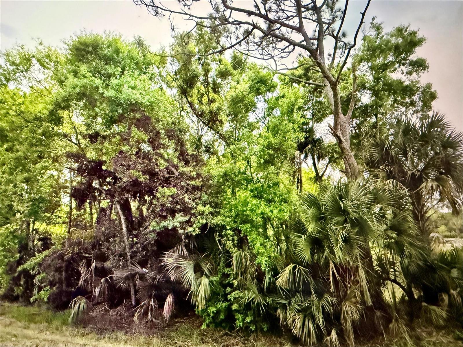 Ver detalles / 0 sq. ft. $ 2026-04-16 0 foto