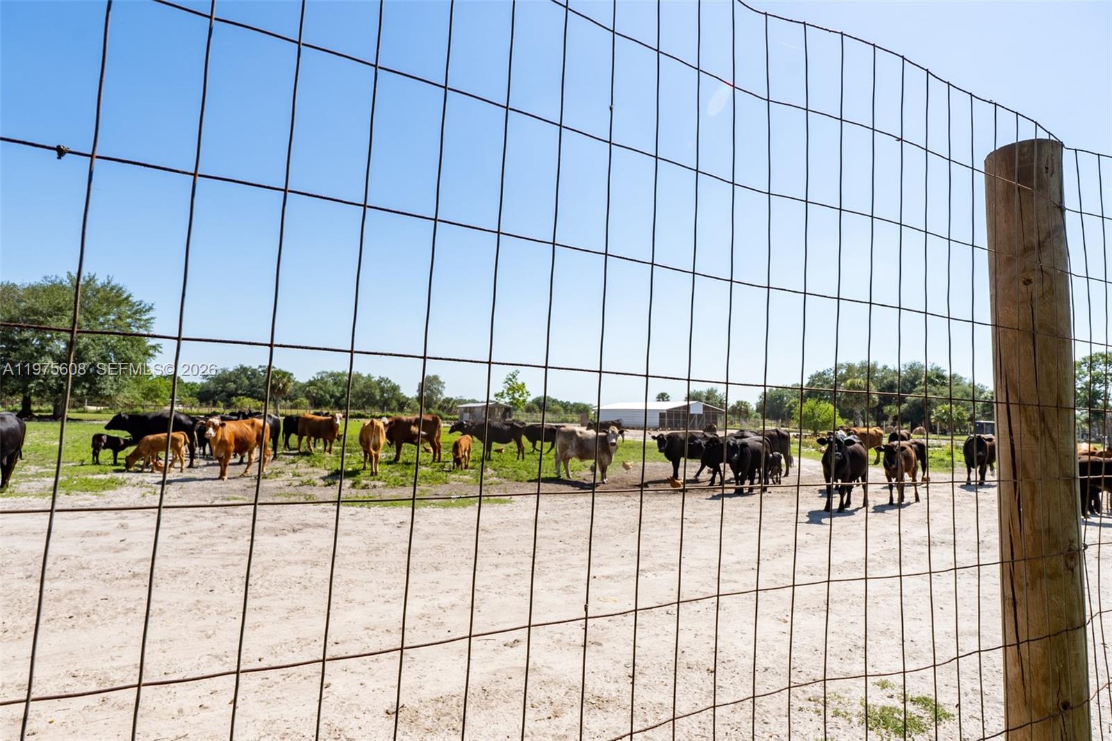   /   кв.футов $ 2026-03-03 0 Фото