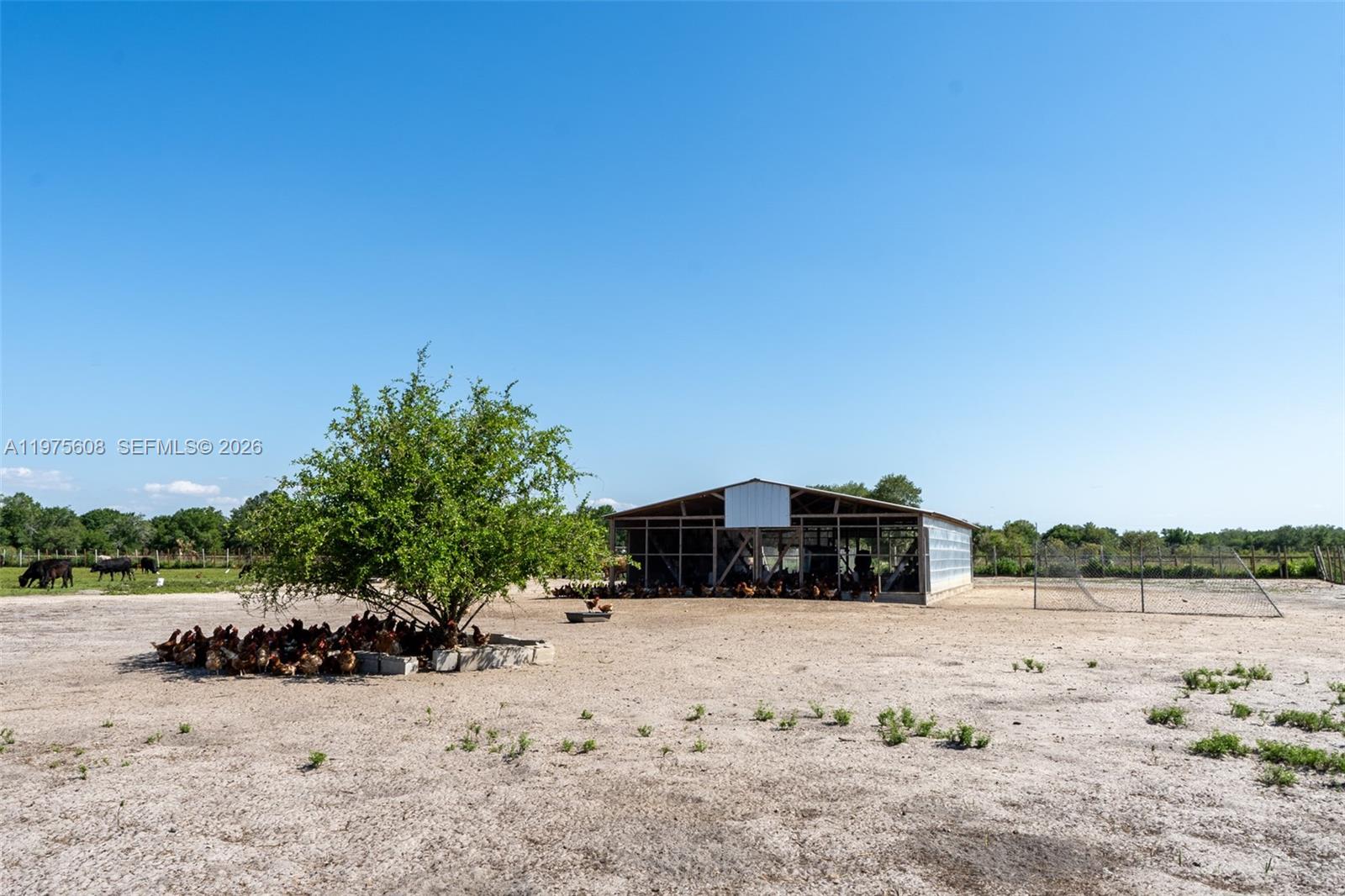   /   кв.футов $ 2026-03-03 0 Фото