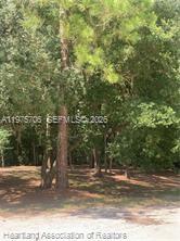   /   sq. ft. $ 2026-03-03 0 Photo