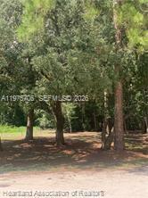   /   sq. ft. $ 2026-03-03 0 Photo
