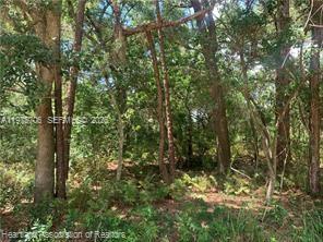   /   sq. ft. $ 2026-03-03 0 Photo