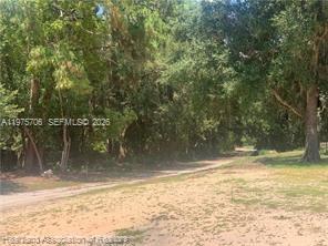  /   sq. ft. $ 2026-03-03 0 Photo