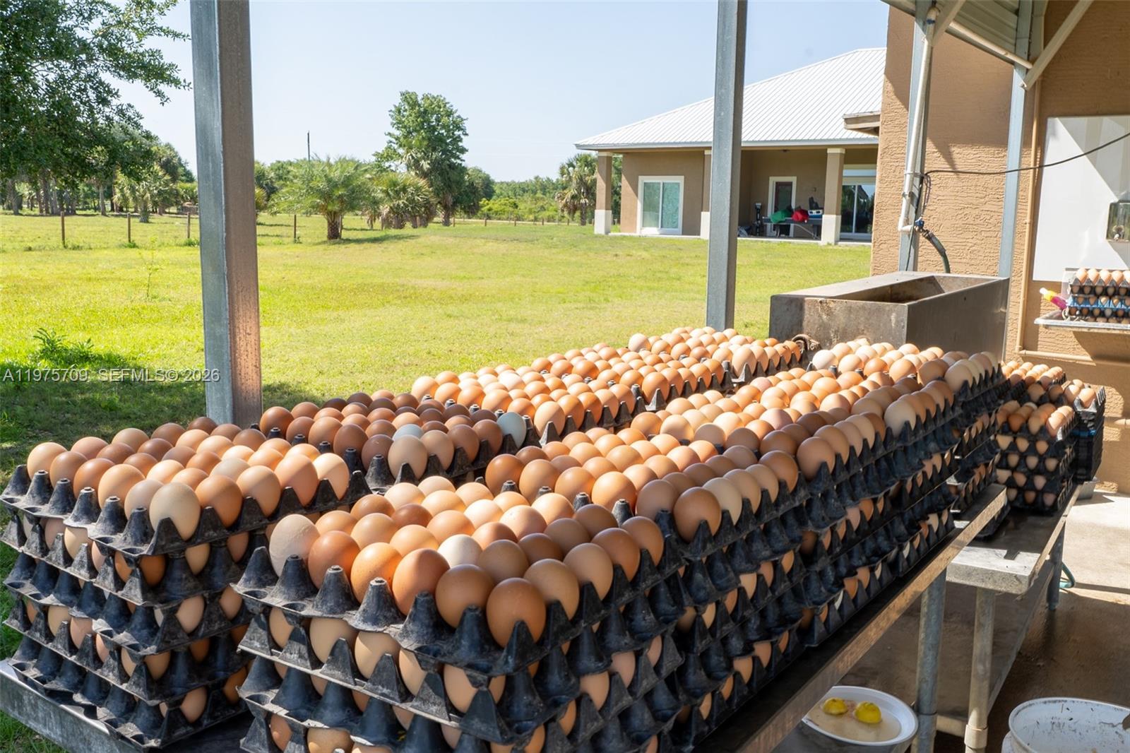   /   кв.футов $ 2026-03-03 0 Фото