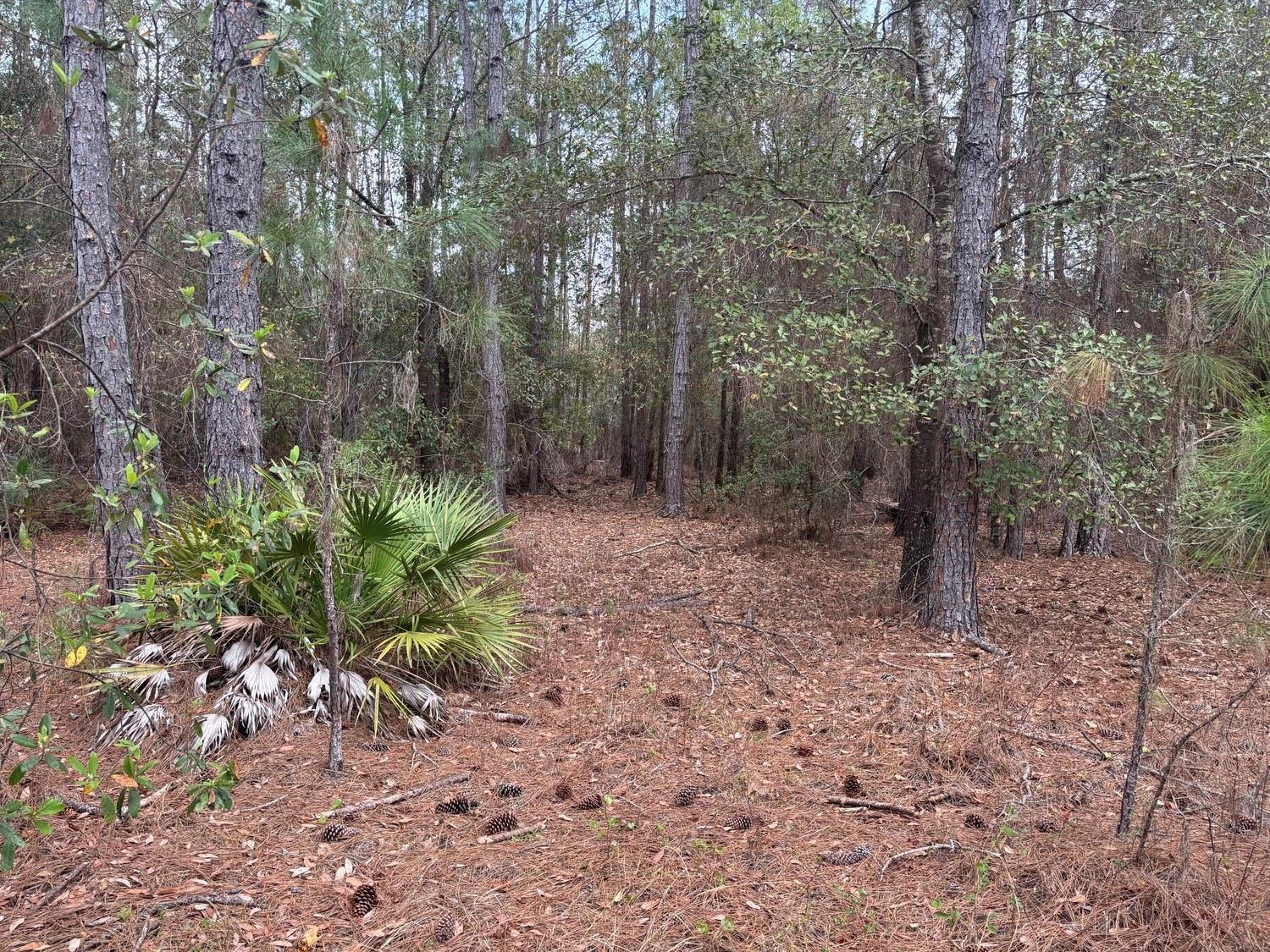   / 0  sq. ft. $ 2026-06-19 0 foto