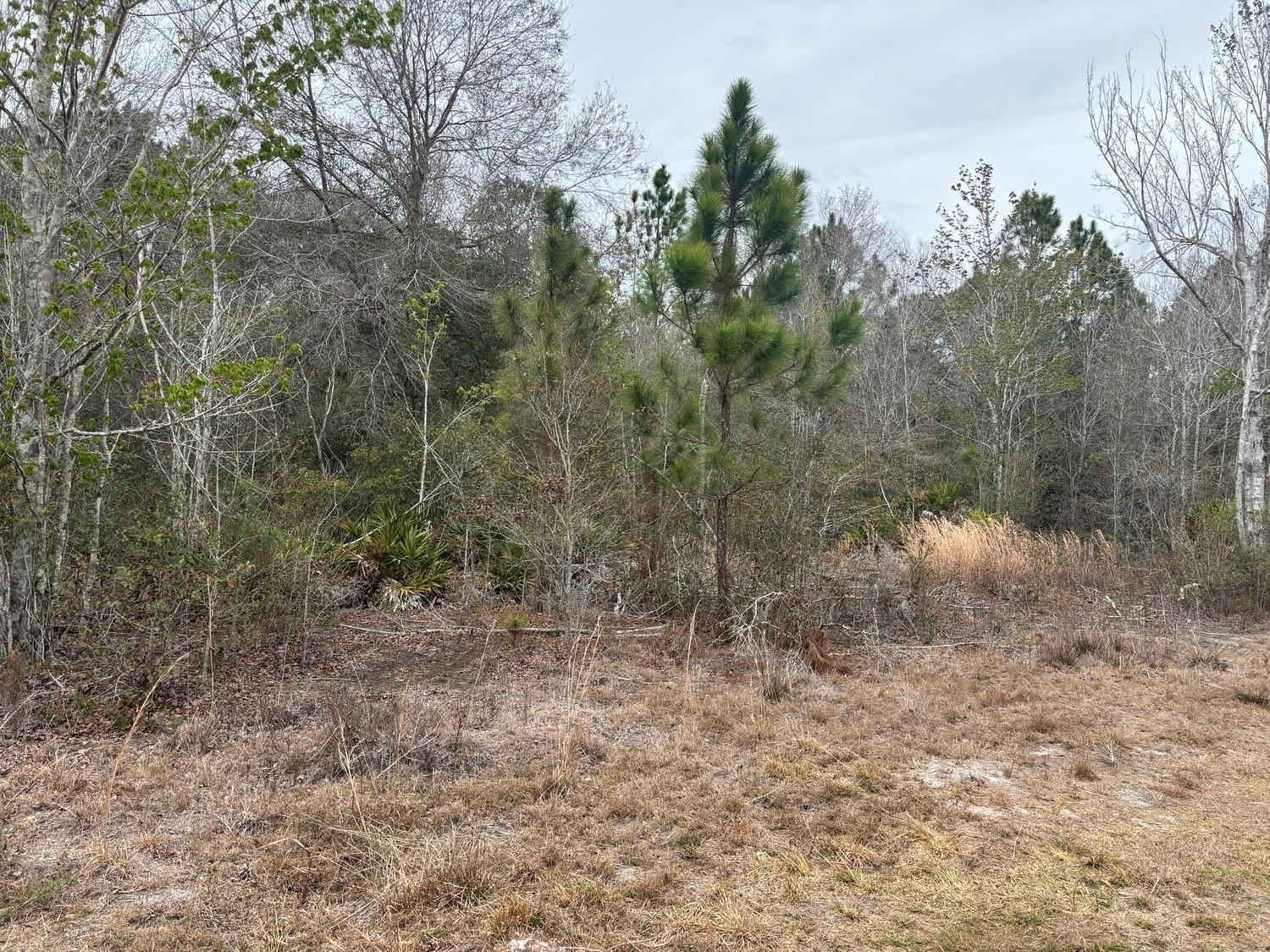   / 0  sq. ft. $ 2026-06-19 0 foto