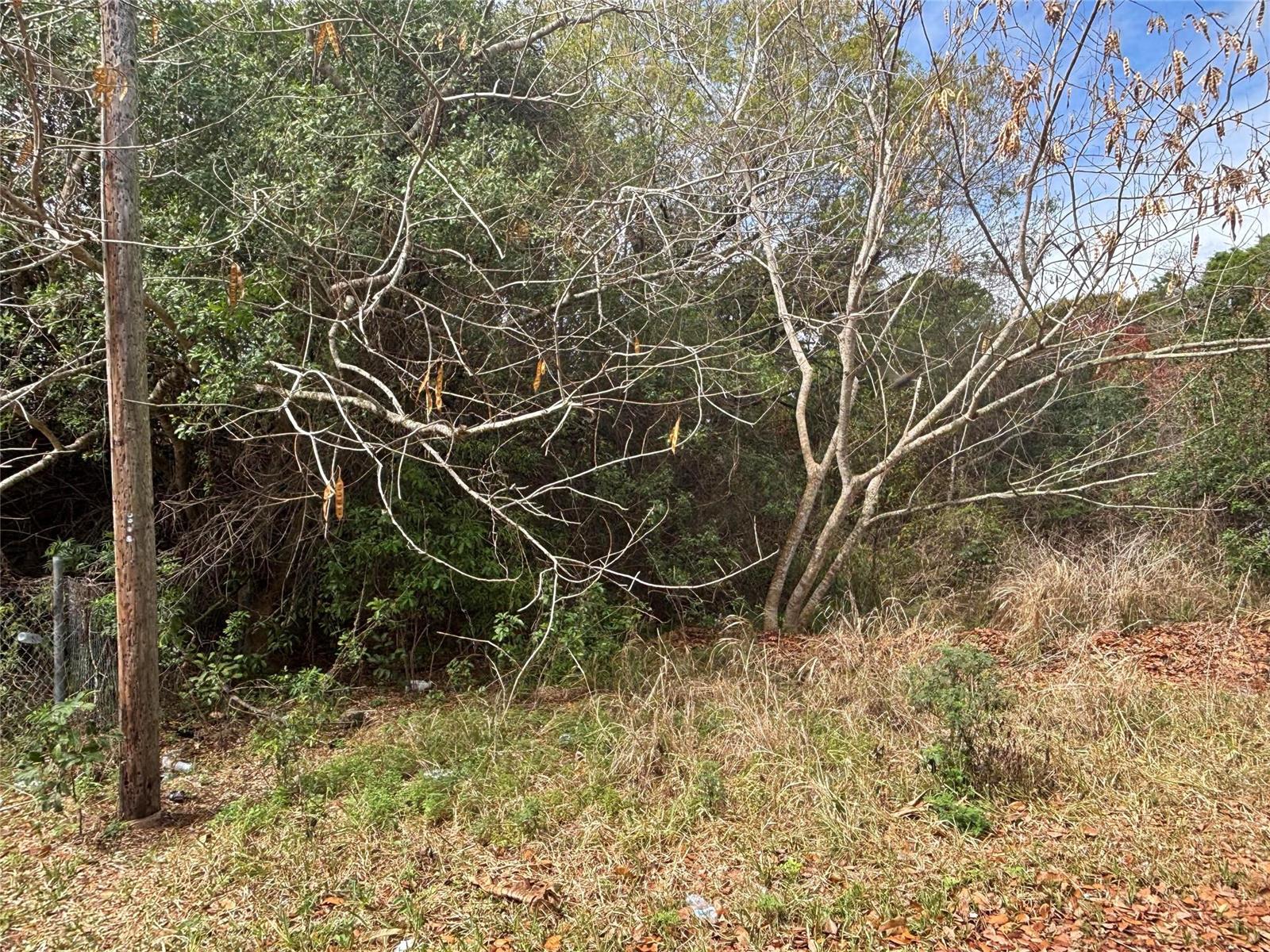   / 0  sq. ft. $ 2026-06-30 0 foto