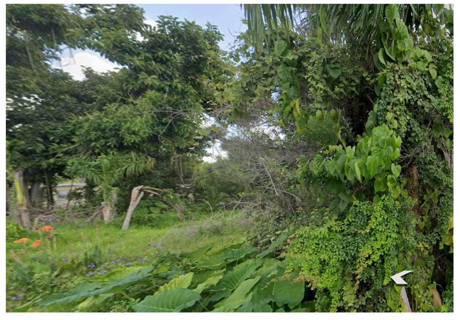 Ver detalles / 0 sq. ft. $ 2026-05-29 0 foto