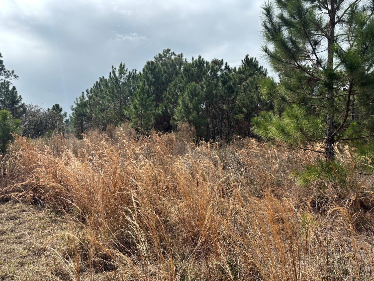   / 0  sq. ft. $ 2026-06-19 0 Photo