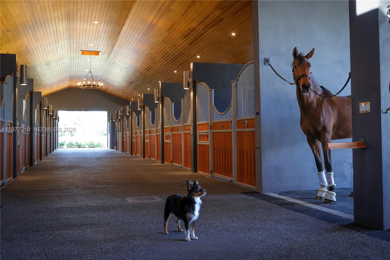   /   кв.футов $ 2026-03-05 0 Фото