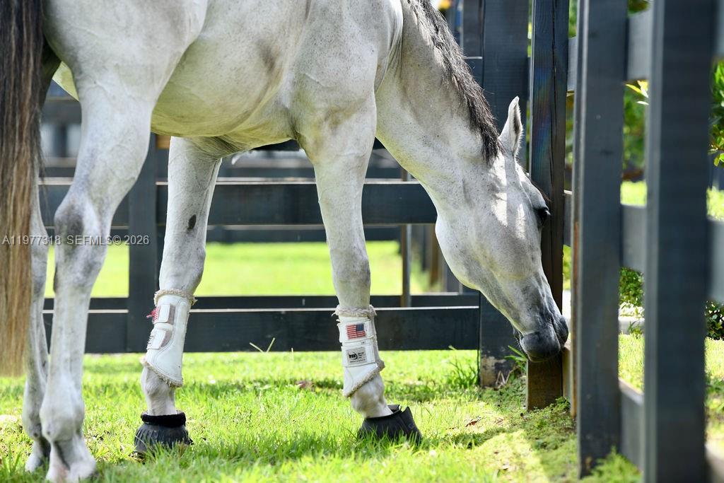   /   sq. ft. $ 2026-03-05 0 Photo