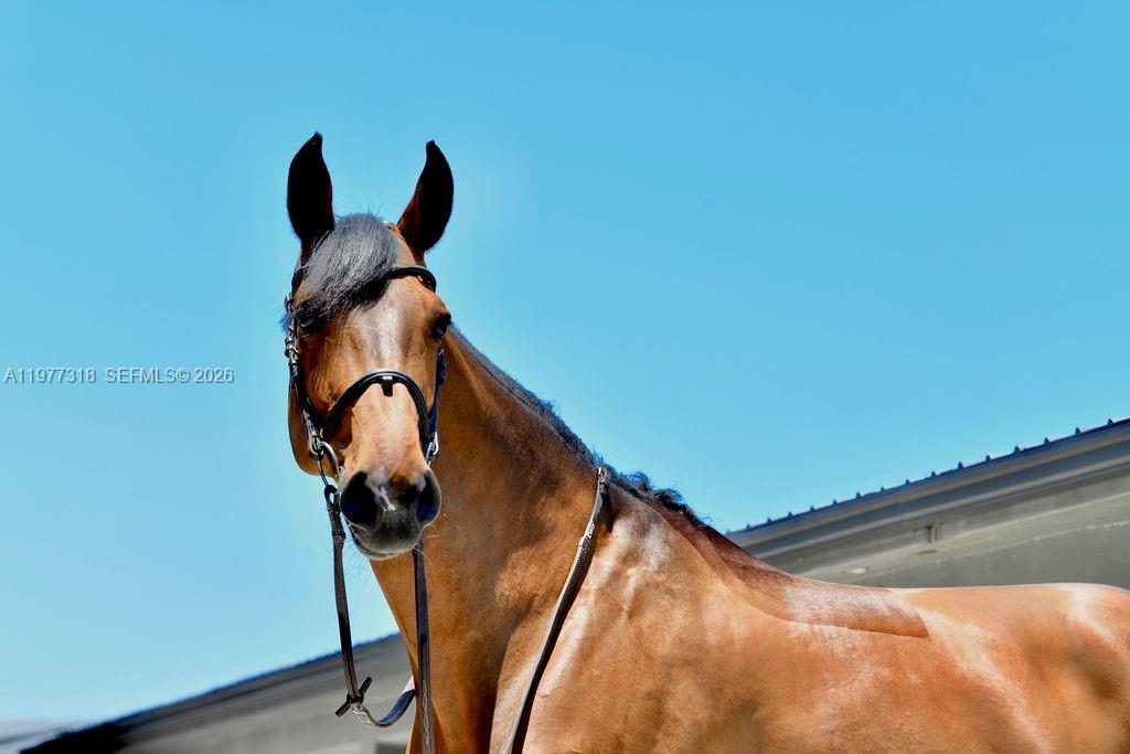   /   sq. ft. $ 2026-03-05 0 Photo