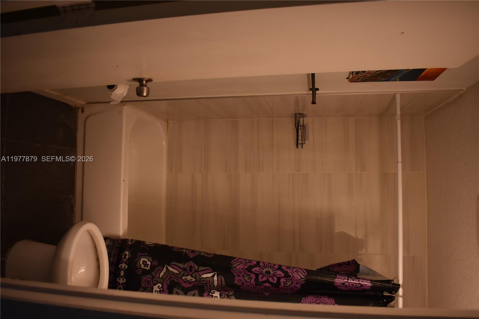 2121 3 / 1 880 sq. ft. $ 2026-03-06 0 Photo