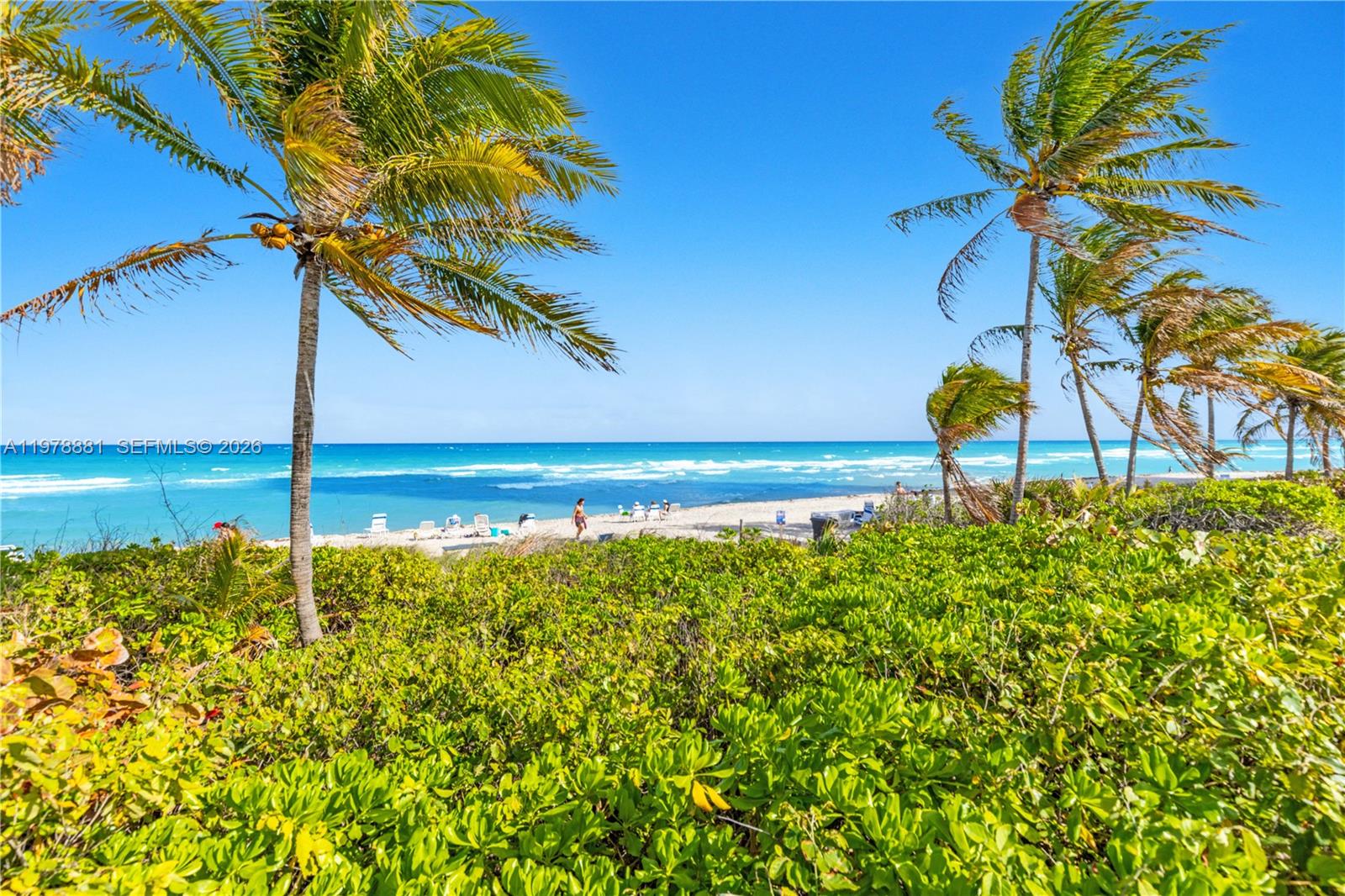 16Q 3 / 3 1740 кв.футов $ 2026-03-08 0 Фото