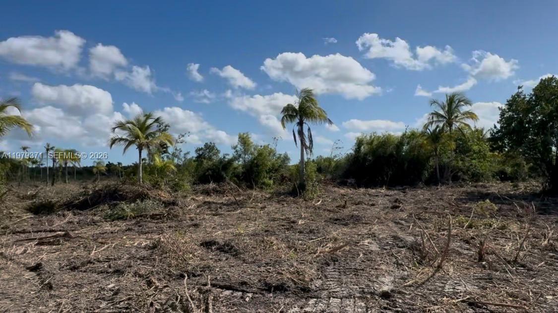 Ver detalles / sq. ft. $ 2026-03-09 0 foto