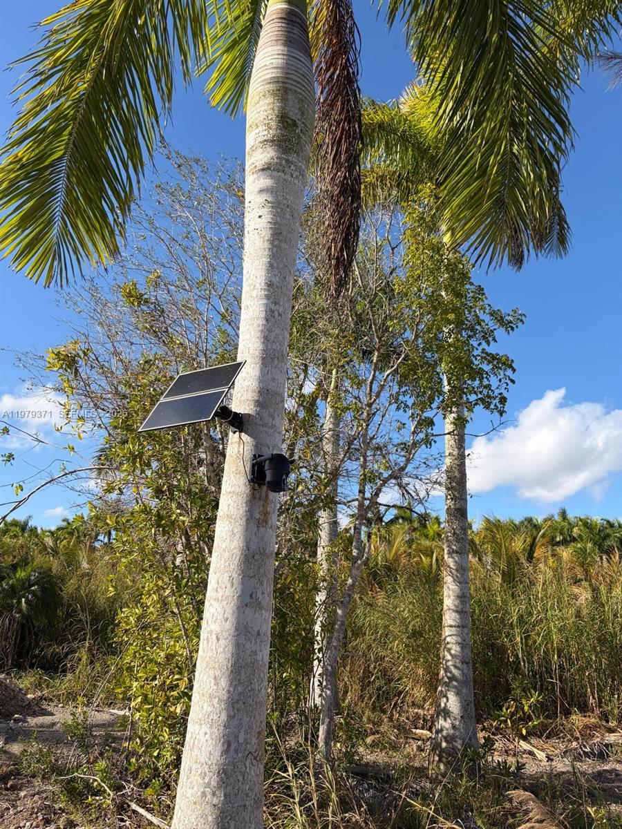 Ver detalles / sq. ft. $ 2026-03-09 0 foto