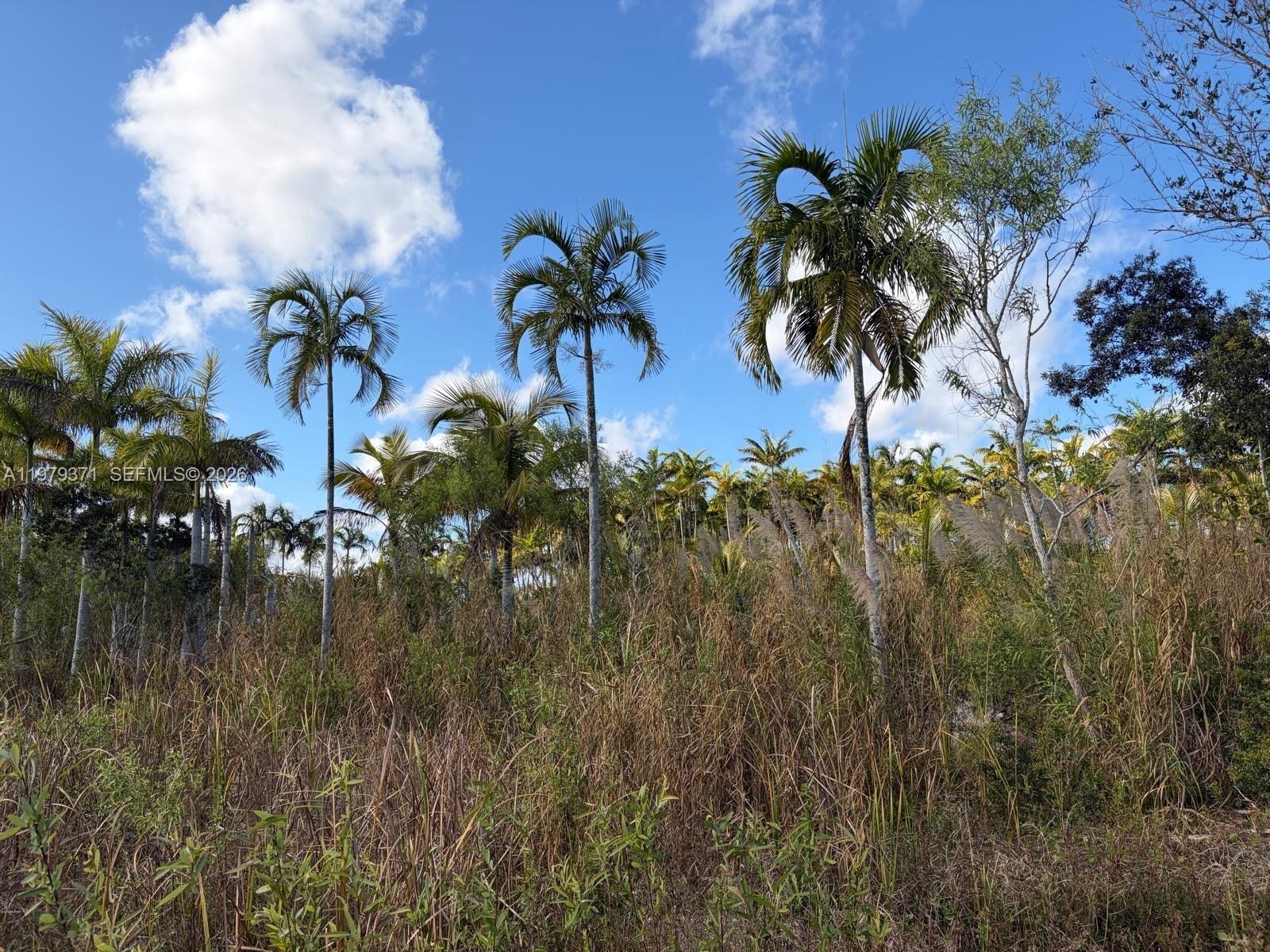 Ver detalles / sq. ft. $ 2026-03-09 0 foto