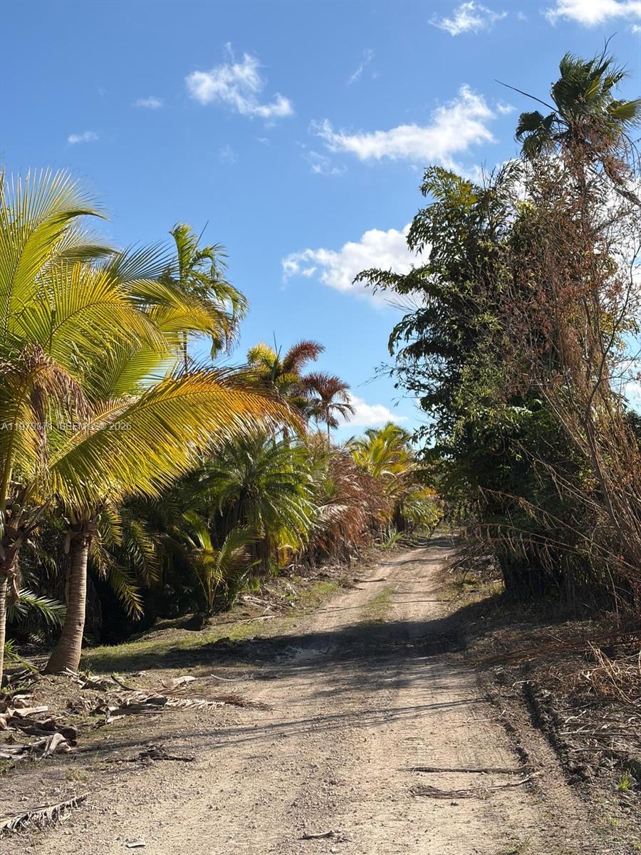 Ver detalles / sq. ft. $ 2026-03-09 0 foto