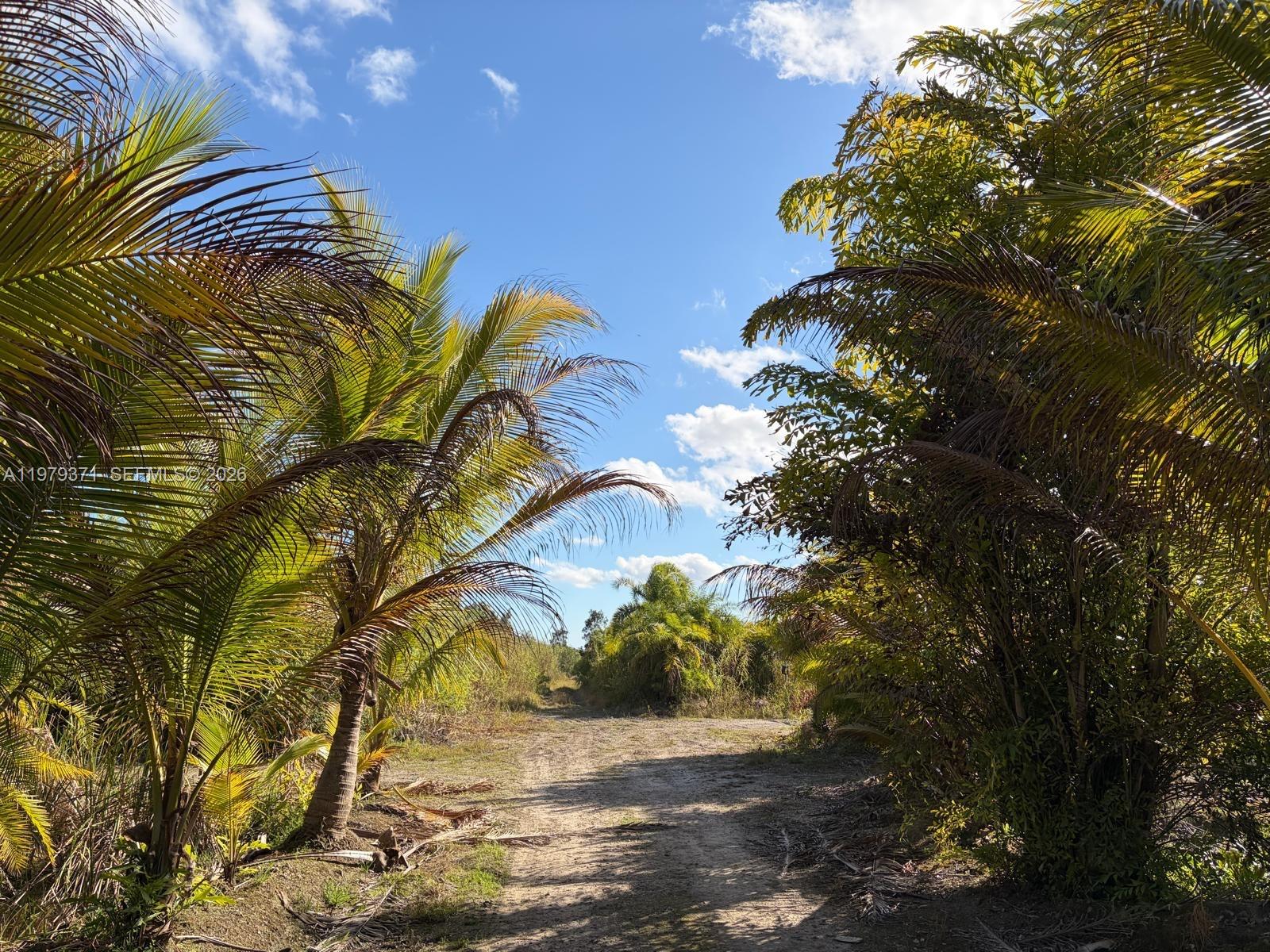 Ver detalles / sq. ft. $ 2026-03-09 0 foto