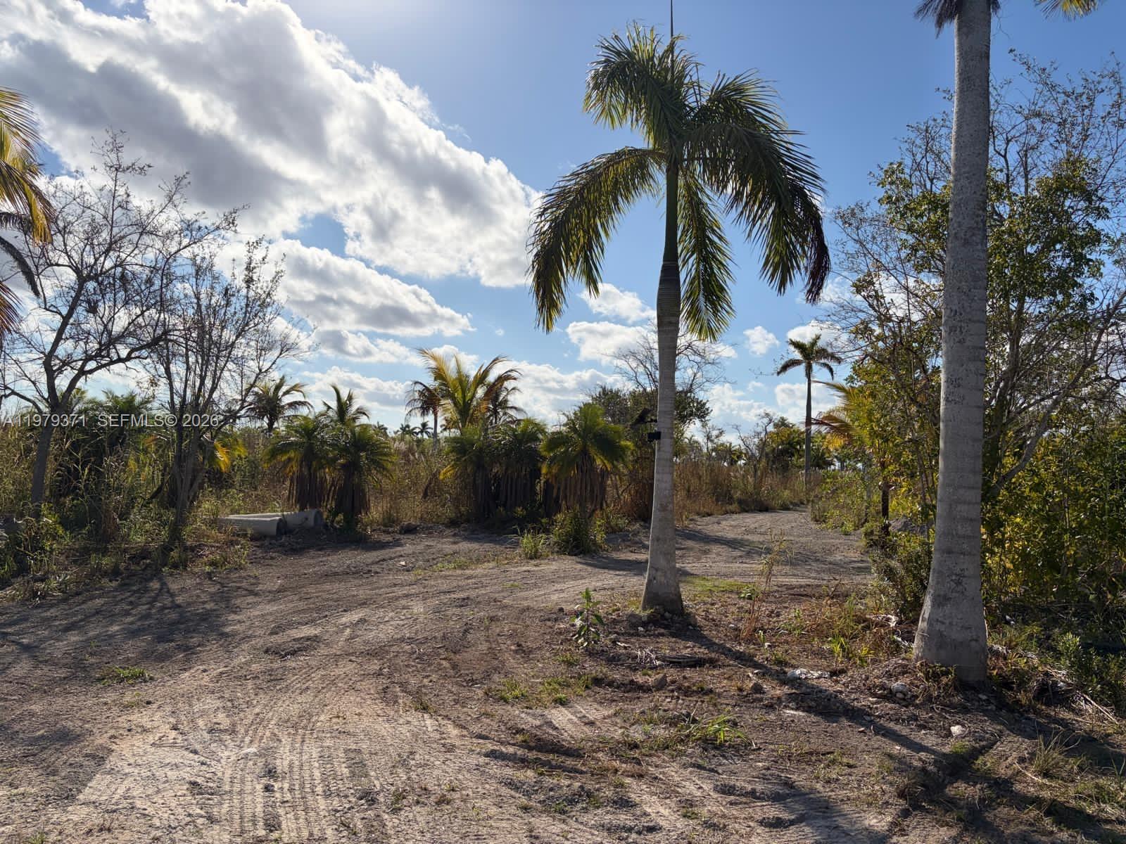 Ver detalles / sq. ft. $ 2026-03-09 0 foto