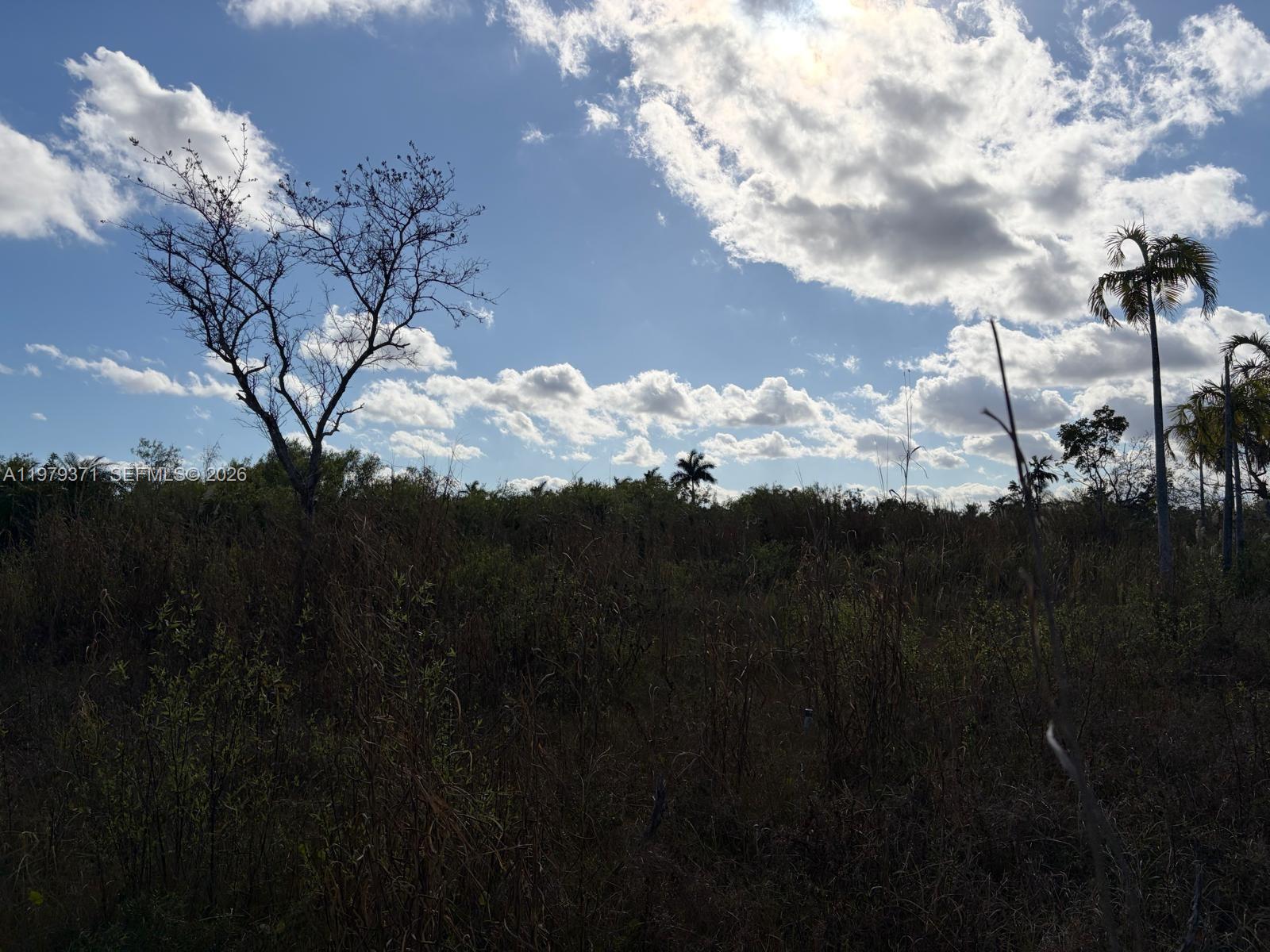 Ver detalles / sq. ft. $ 2026-03-09 0 foto