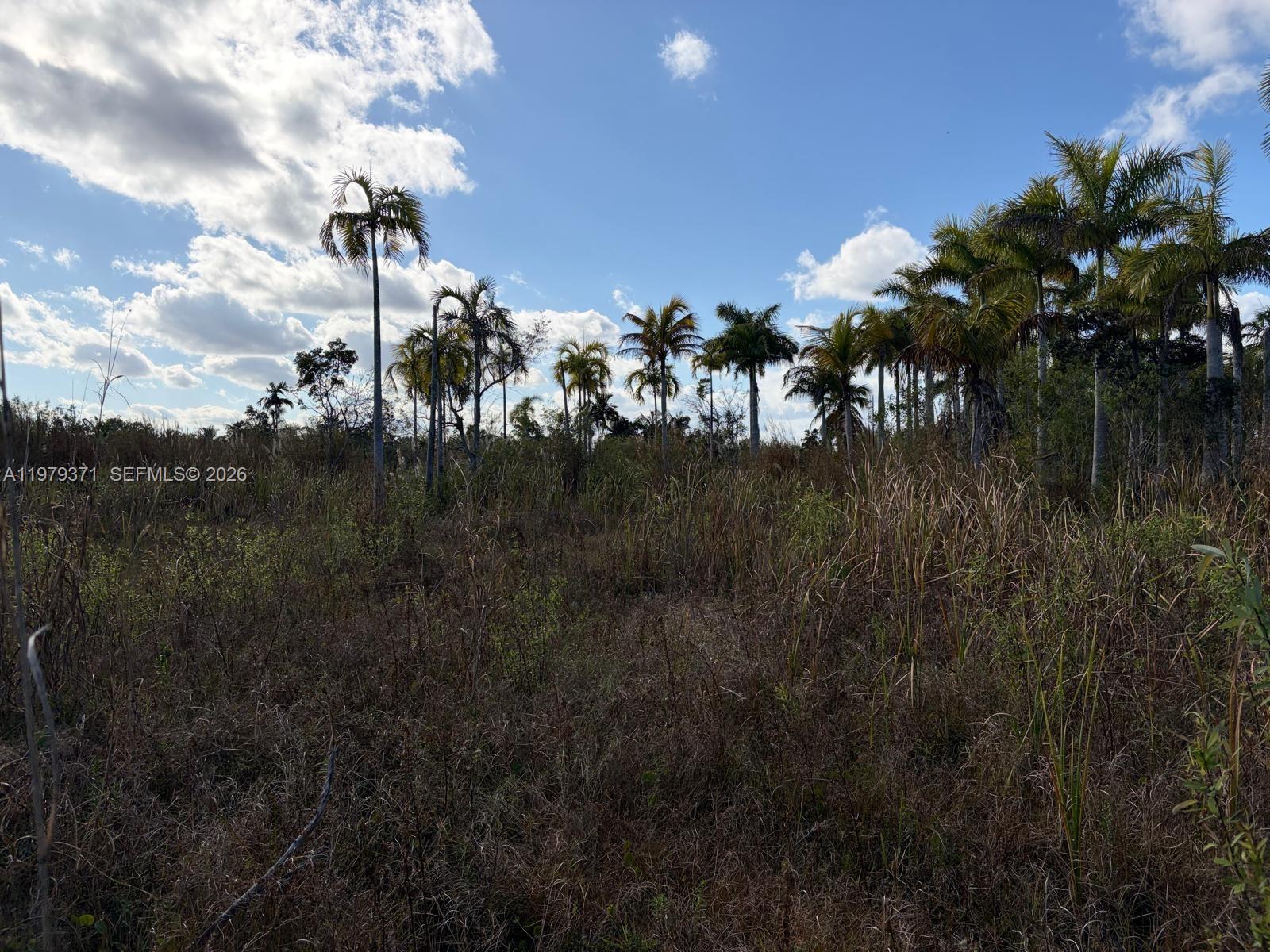 Ver detalles / sq. ft. $ 2026-03-09 0 foto