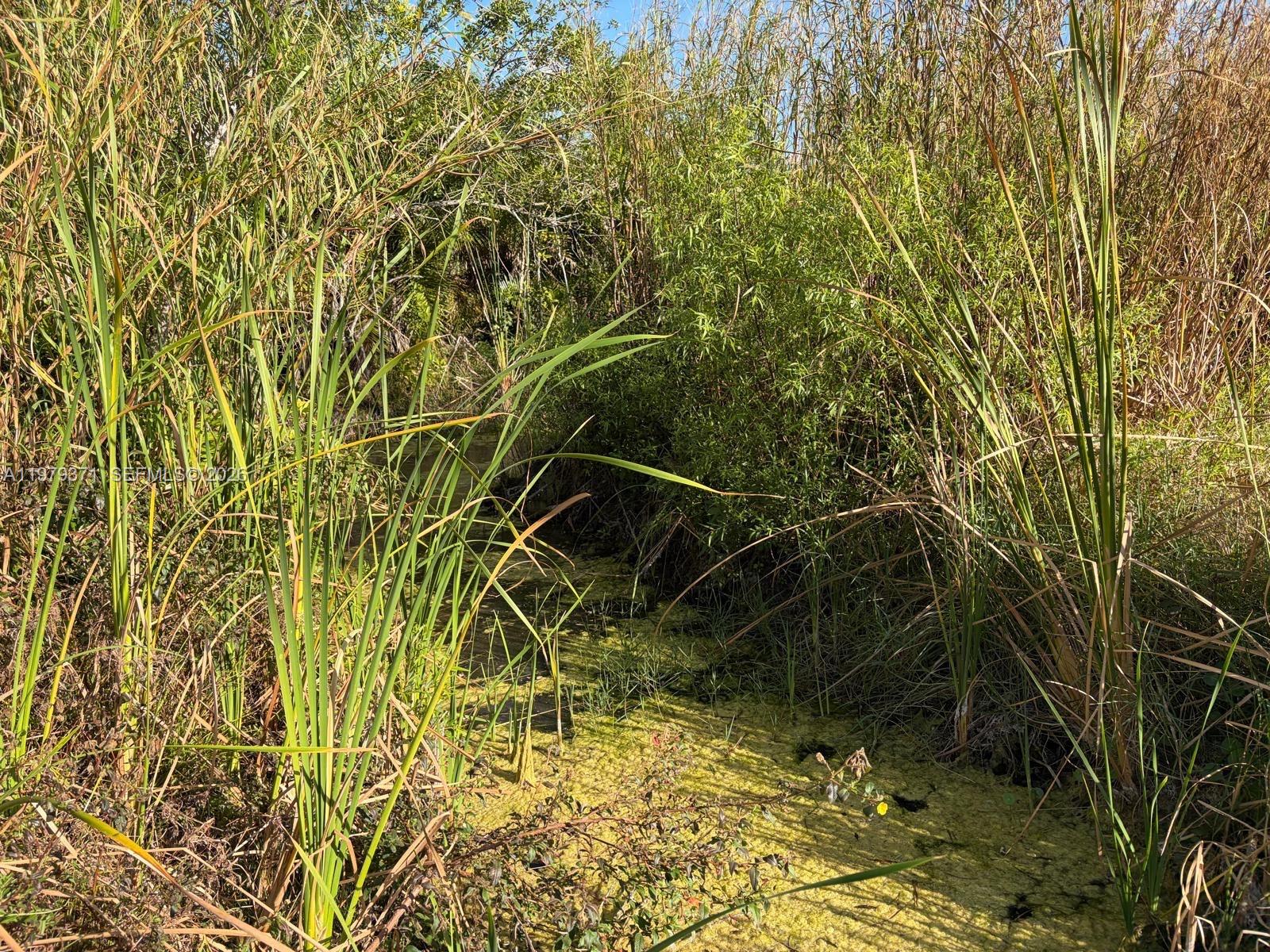 Ver detalles / sq. ft. $ 2026-03-09 0 foto