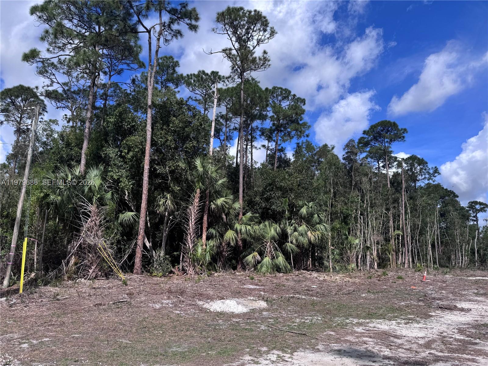 Подробнее / кв.футов $ 2026-03-11 0 Фото