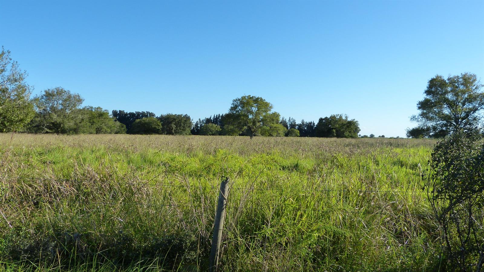   / 0  sq. ft. $ 2026-06-15 0 foto