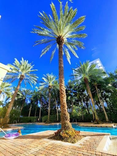 Photo of 17150 Bay Rd  #2211, Sunny Isles Beach, Florida, 33160 - 