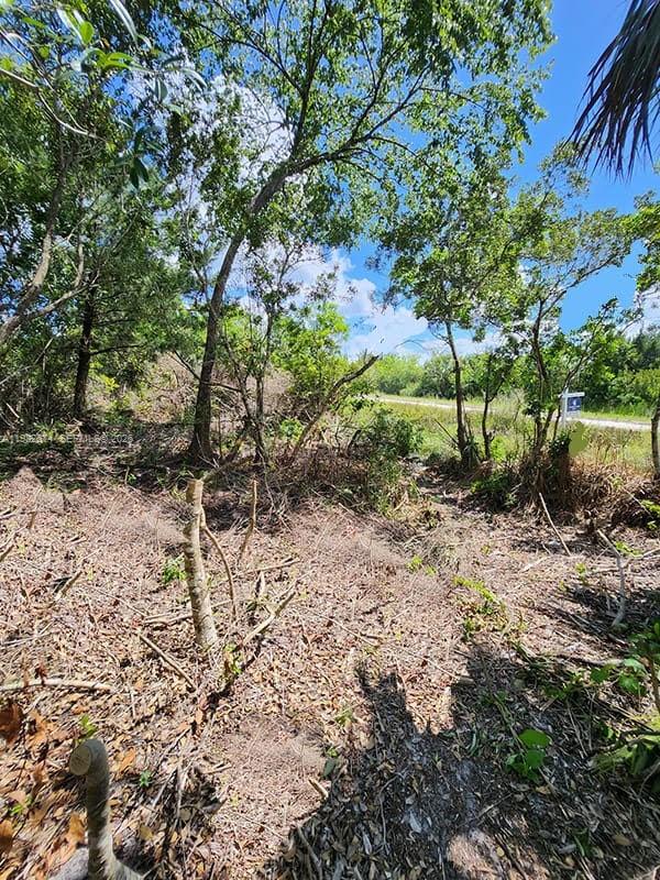 See details / sq. ft. $ 2026-03-13 0 Photo