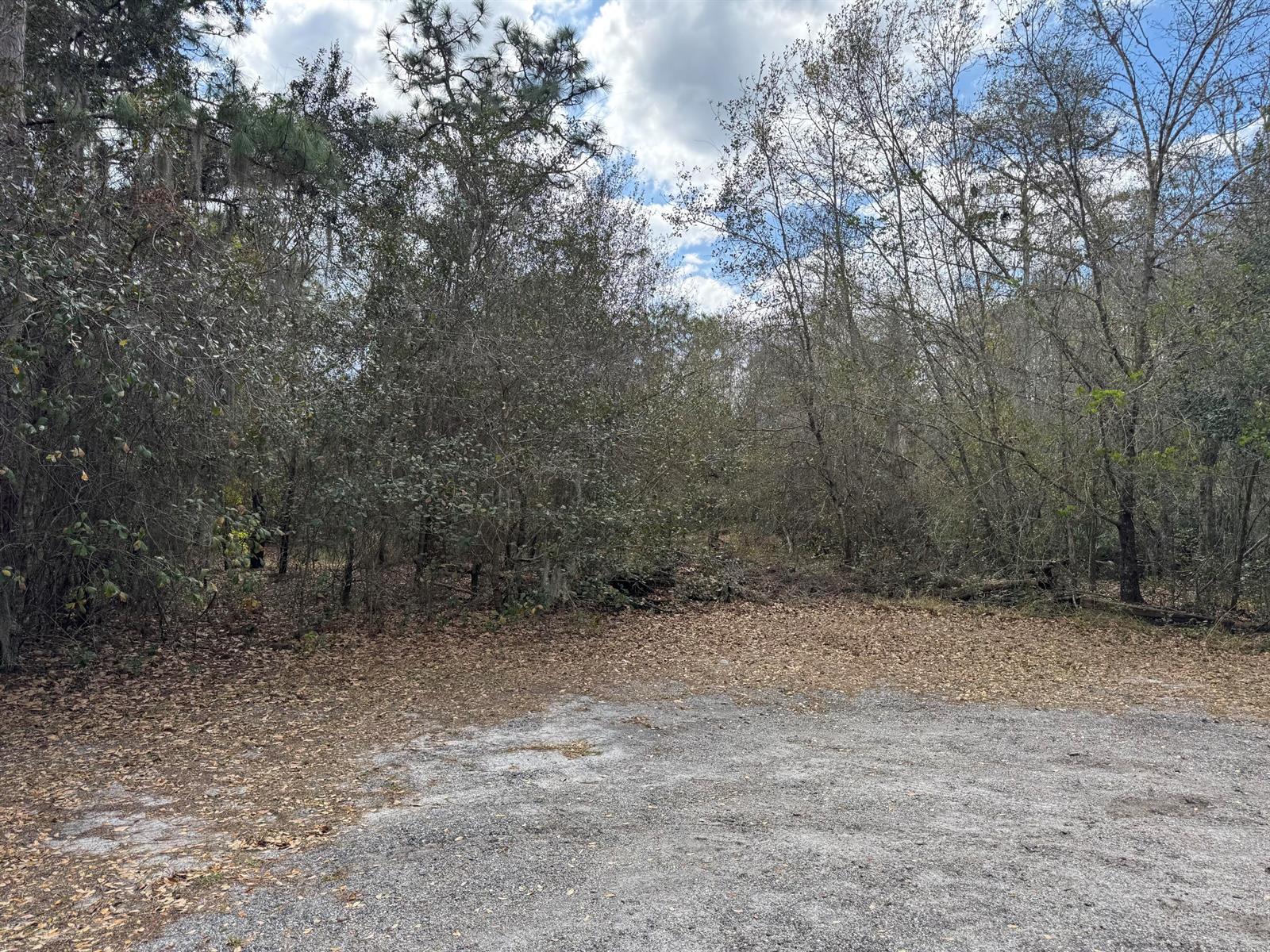 See details / 0 sq. ft. $ 2026-05-23 0 Photo