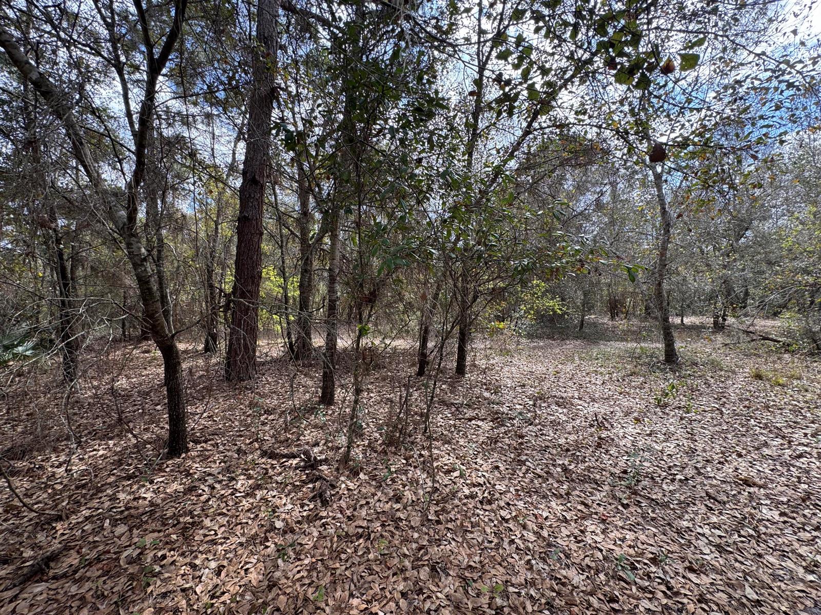 See details / 0 sq. ft. $ 2026-05-23 0 Photo