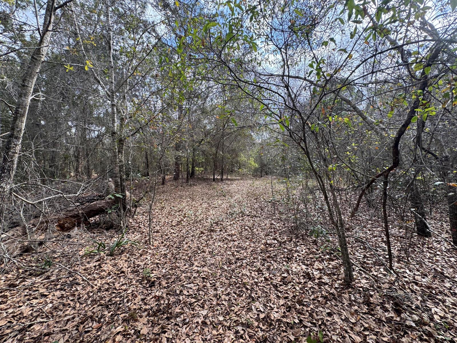 See details / 0 sq. ft. $ 2026-05-23 0 Photo