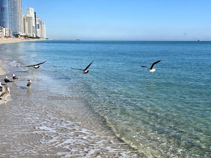 1202 2 / 3 1385 sq. ft. $ 2026-03-18 0 Photo