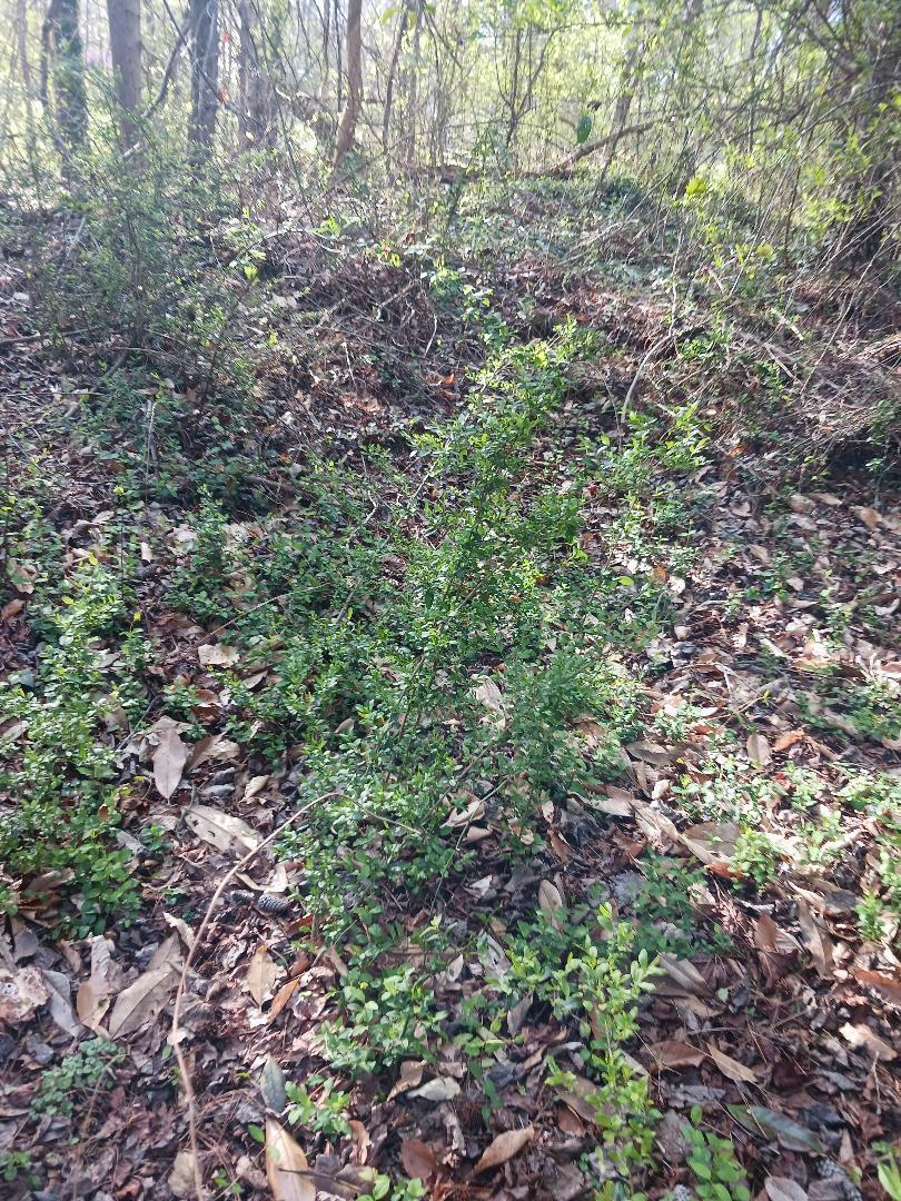   / 0  sq. ft. $ 2026-06-19 0 foto