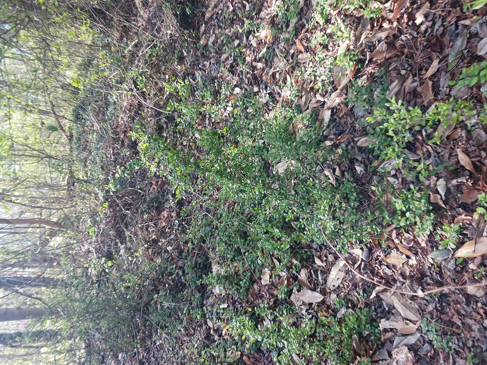   / 0  sq. ft. $ 2026-06-19 0 foto