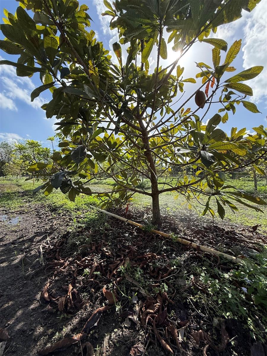   /   sq. ft. $ 2026-03-19 0 foto