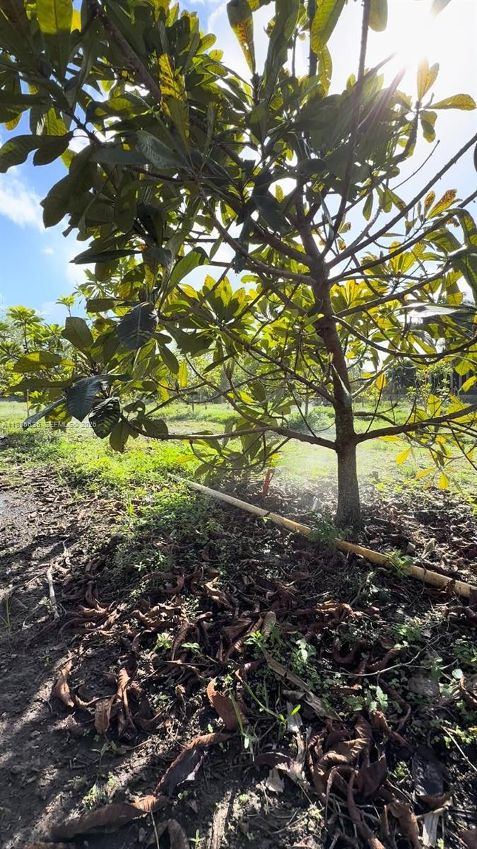   /   sq. ft. $ 2026-03-19 0 foto