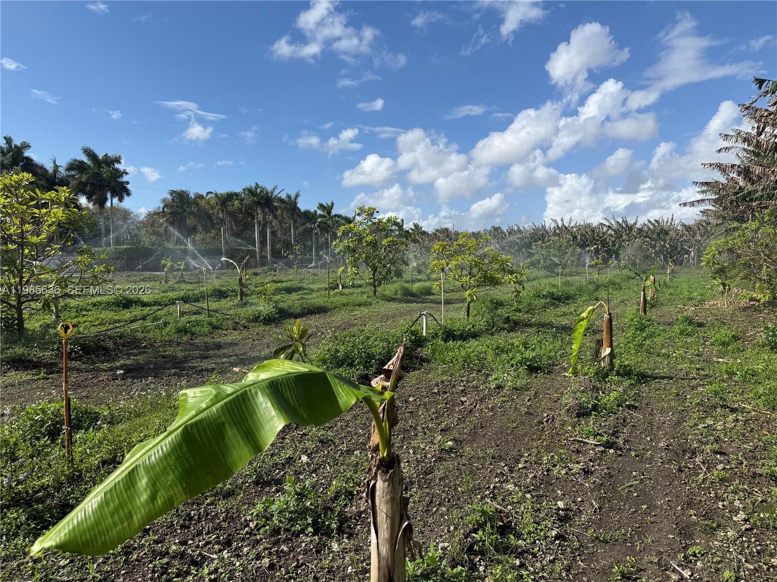   /   sq. ft. $ 2026-03-19 0 Photo