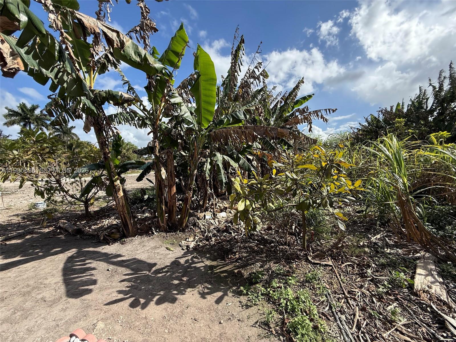   /   sq. ft. $ 2026-03-19 0 Photo