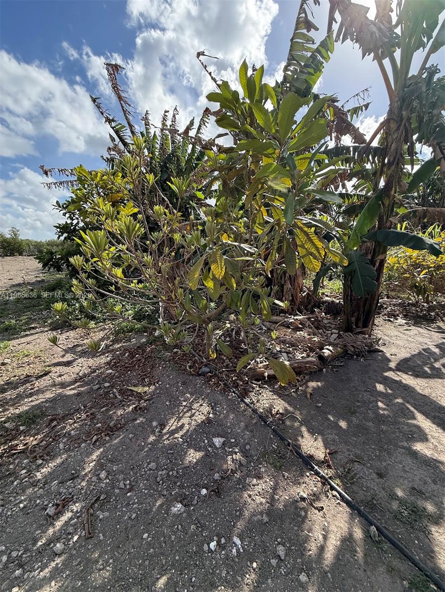   /   sq. ft. $ 2026-03-19 0 Photo