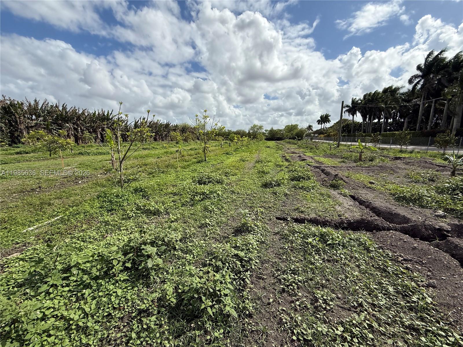   /   sq. ft. $ 2026-03-19 0 Photo