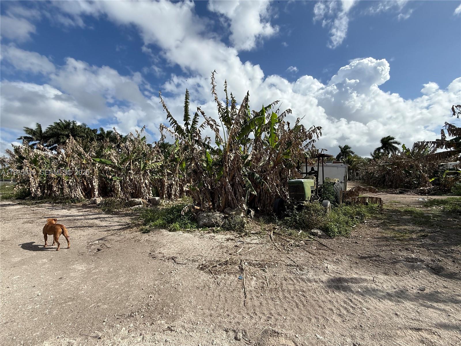   /   sq. ft. $ 2026-03-19 0 Photo