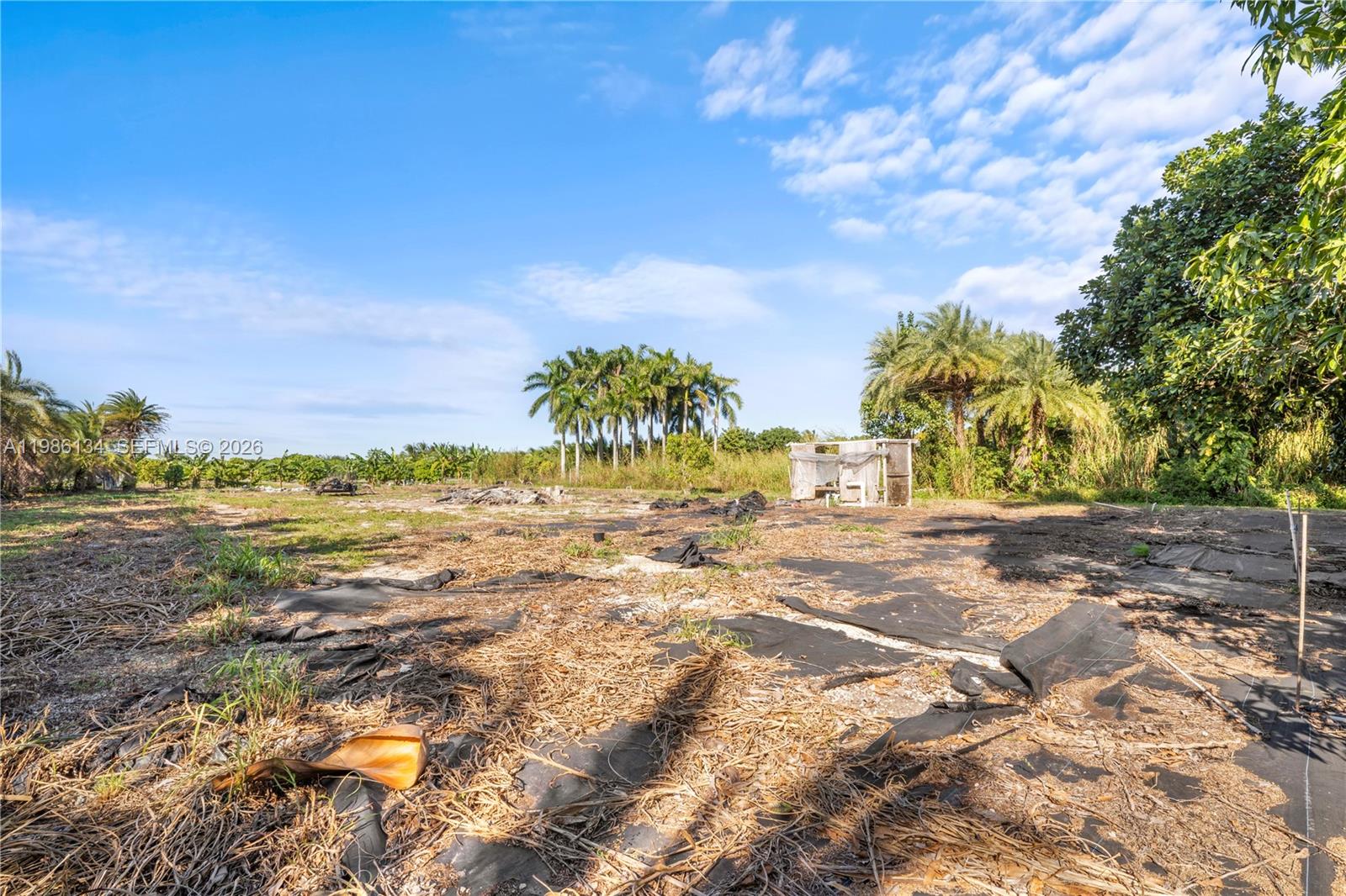   /   кв.футов $ 2026-03-19 0 Фото