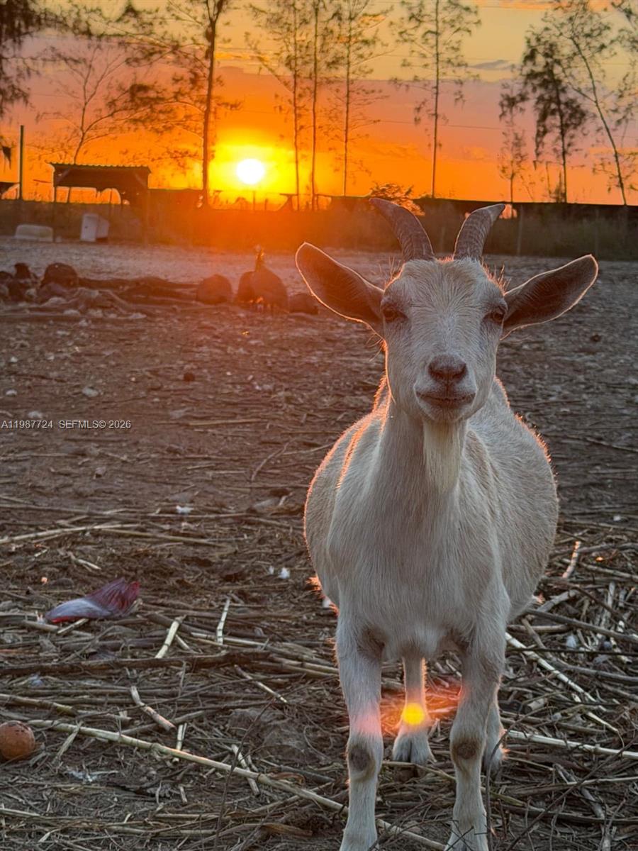   /   кв.футов $ 2026-03-23 0 Фото