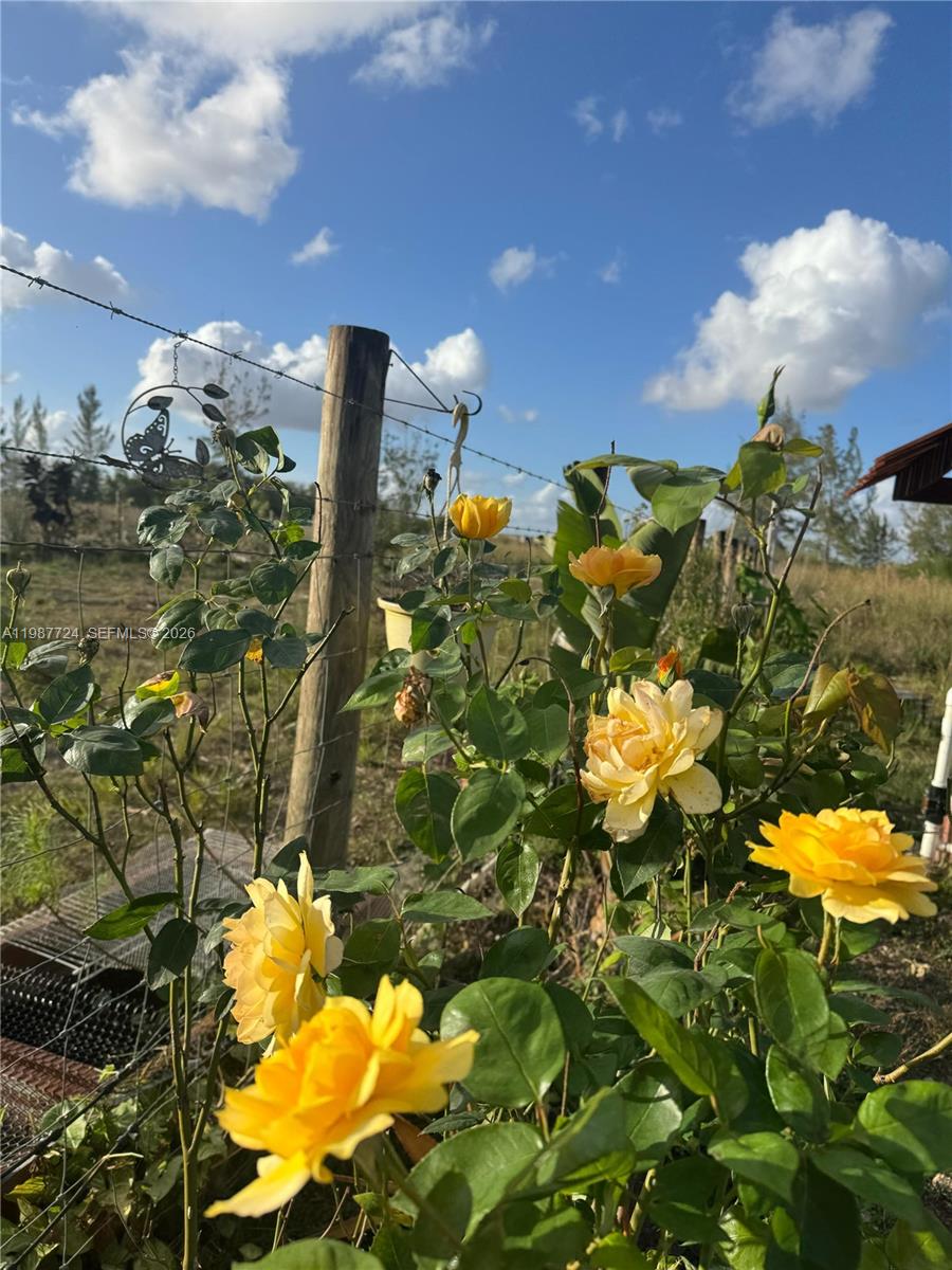   /   кв.футов $ 2026-03-23 0 Фото