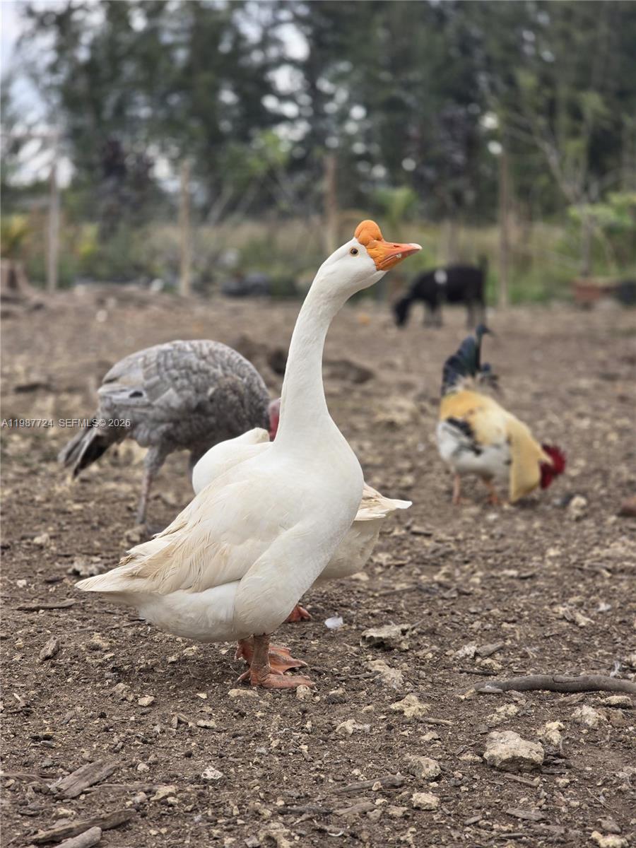   /   кв.футов $ 2026-03-23 0 Фото