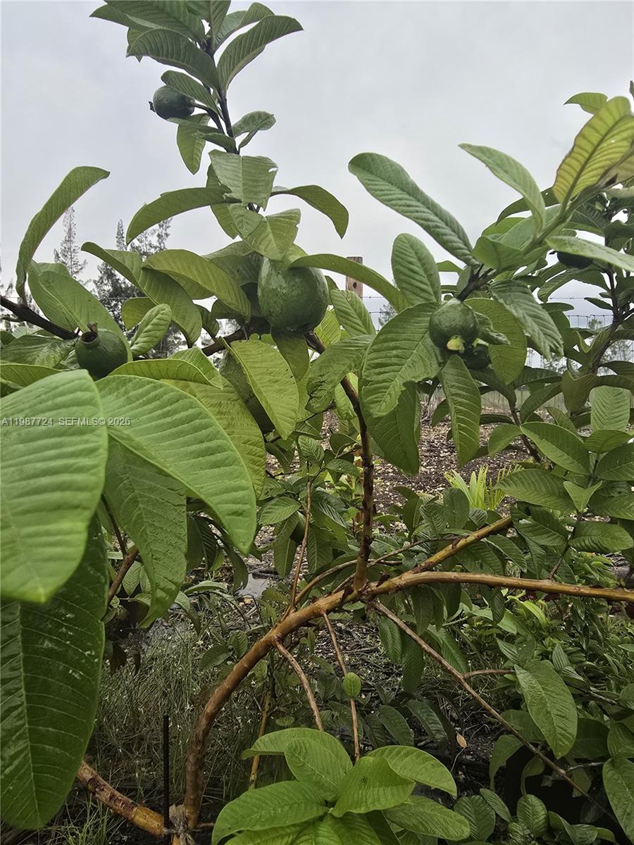   /   кв.футов $ 2026-03-23 0 Фото